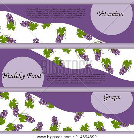 Sweet juicy whole grape fruit symbol for jam and juice product banner or grocery store, shop and farm market design. Vector square label, grape jam, sauce or juice label