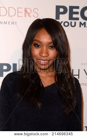 LOS ANGELES - NOV 13:  Bri Sche Fair at the 