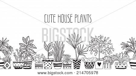 Line of home plants and a place for text. Seamless pattern. Contours. Vector illustration.