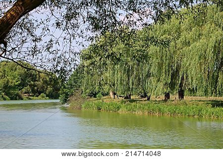 Beautiful foliage pattern and river Southern Buh in near Vinnytsia, Ukraine in the summer