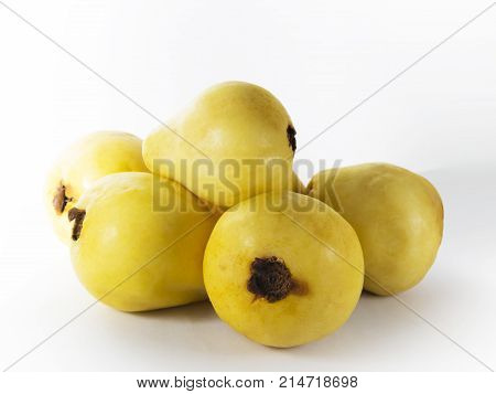 Several guava fruits on a white background
