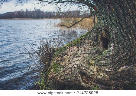 View Of The Lake In Autumn