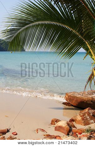Paradis plage tropicale