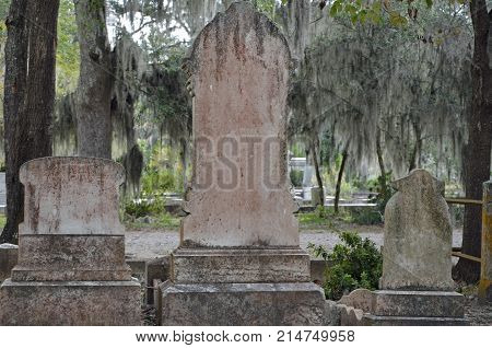 THUNDERBOLT, GA - October 8, 2017 Shapes of tombstones rise up to meet Spanish moss hanging from live oak trees in historic Bonaventure Cemetery.