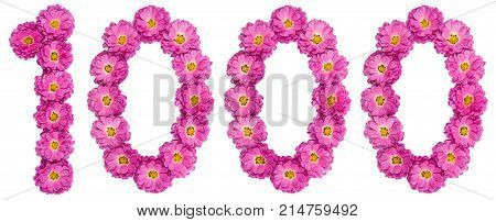 Arabic Numeral 1000, One Thousand, From Flowers Of Chrysanthemum, Isolated On White Background