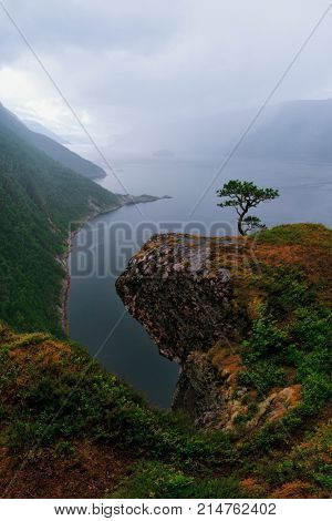 Misty morning on Tingvollfjorden flord