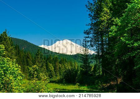 snow-capped mountain top against the backdrop of a green forest