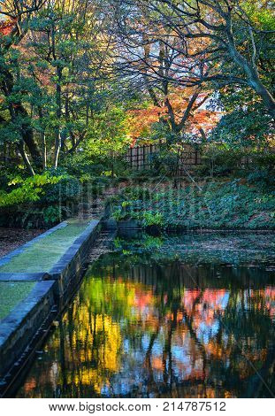 Rikugien Garden In Tokyo, Japan