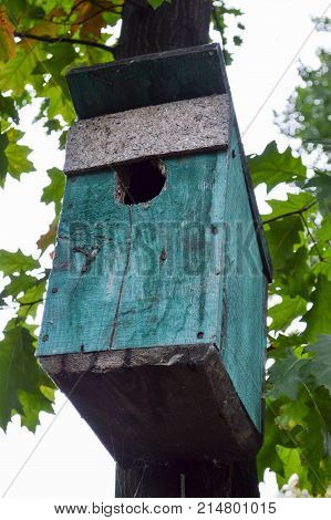 Turquoise birdhouse on a background of green leaves and sky.