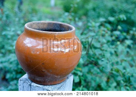 old ceramic pot in the forest, close view
