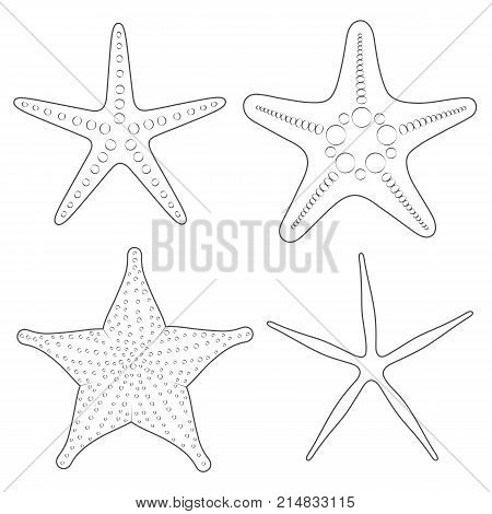 Set of graphic black and white images of sea stars. Isolated vector objects on white background.