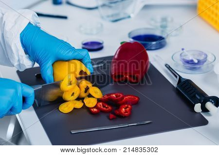 Quality Control Food Safety Inspector Working With Vegetables In A Laboratory