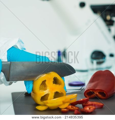 Quality Control Food Safety Inspector Working With Vegetables In A Laboratory
