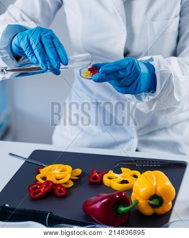 Quality Control Food Safety Inspector Working With Vegetables In A Laboratory
