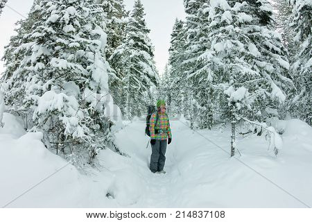 Happy Tourist Girl With A Backpack Walks In A Winter Forest Among Large Trees.