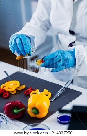 Quality Control Food Safety Inspector Working With Vegetables In A Laboratory