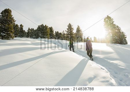 Two Happy Women Traveler With Backpacks Walking In Winter Mountains Forest