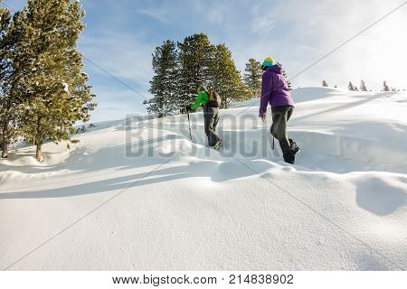 Two Happy Women Traveler With Backpacks Walking In Winter Mountains Forest