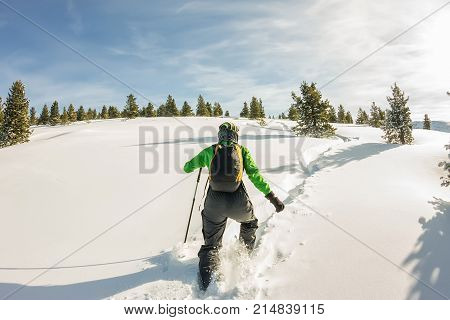 Happy Tourist Girl With A Backpack Walks In A Winter Mauntains Trees