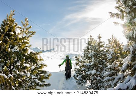 Happy Tourist Girl With A Backpack Stand In A Winter Mauntains Trees