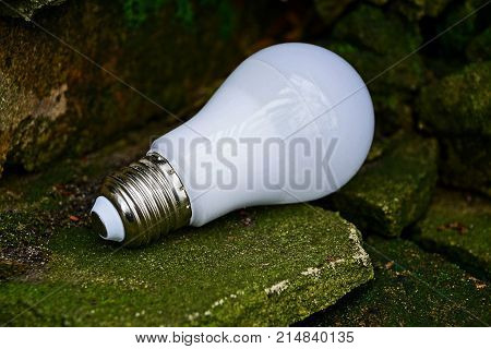 white light bulb rests on old stones near the wall