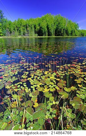 Mabel Lake in the Northern Highland American Legion State Forest of Wisconsin