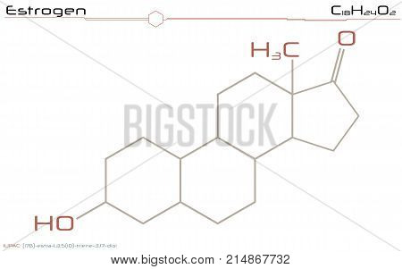 Large and detailed illustration of the molecule of Estrogen