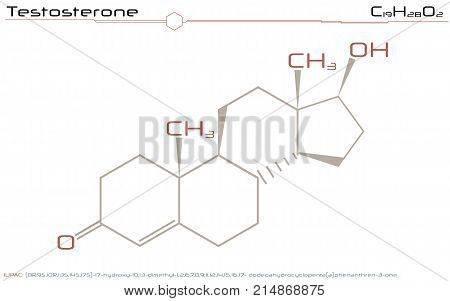Large and detailed illustration of the molecule of Testosterone