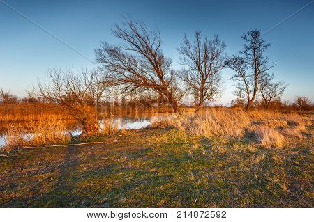 Spring At Warta River In Warta Landscape Park, Poland.