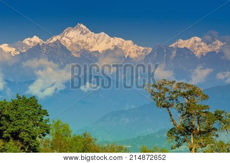 Beautiful view of trees of Silerygaon Village with Kanchenjunga mountain range at the background moring light at Sikkim India