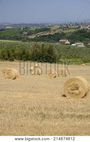 Rural landscape along the road from Sant'Egidio alla Vibrata to Civitella del Tronto (Abruzzi Italy) at summer