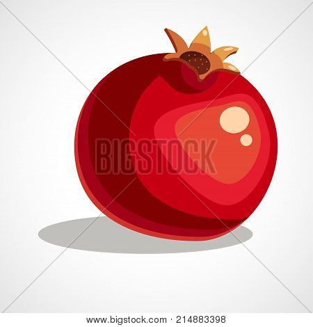 Pomegranate fruit icon vector template. Vector illustration