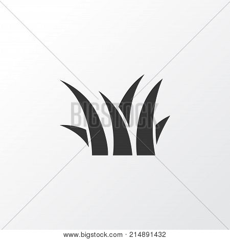 Grass Icon Symbol. Premium Quality Isolated Sedge Element In Trendy Style.