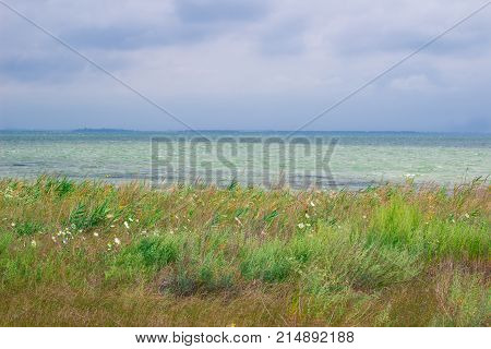 Empty Sea Meadow Coast With Dramatic Cloudy Sky