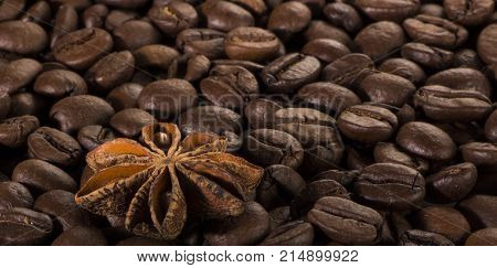 star anise, on the background of coffee with beautiful highlights on the surface of grains.