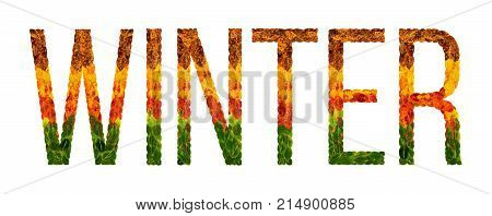 winter word is written with leaves white isolated background