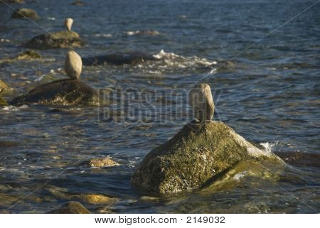 바다에서 배열된 돌