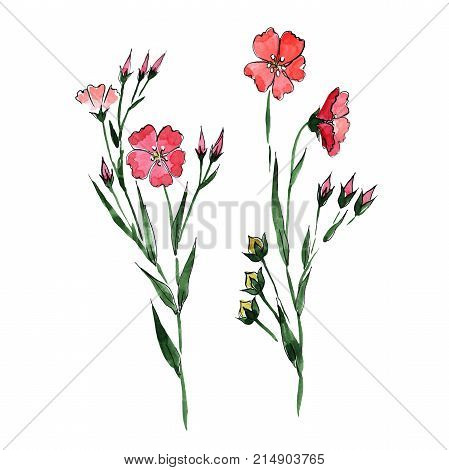 Wildflower flax flower in a watercolor style isolated. Full name of the plant: flax. Aquarelle wild flower for background, texture, wrapper pattern, frame or border.