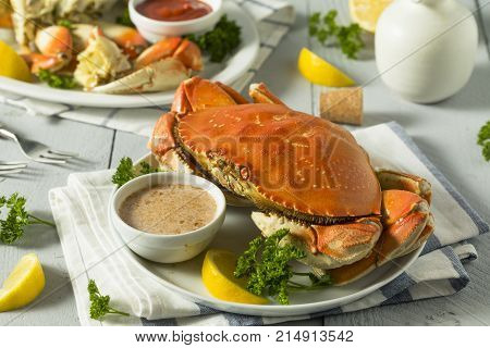 Fresh Caught Dungeness Crab