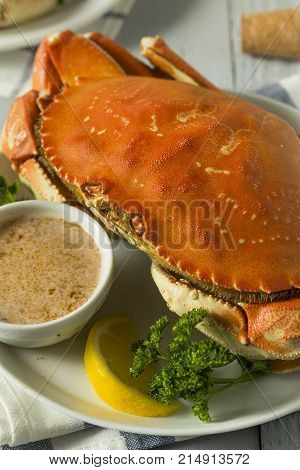 Fresh Caught Dungeness Crab