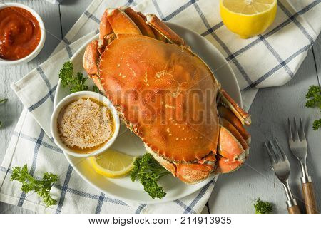 Fresh Caught Dungeness Crab