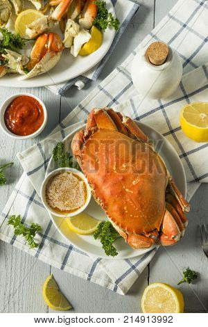 Fresh Caught Dungeness Crab