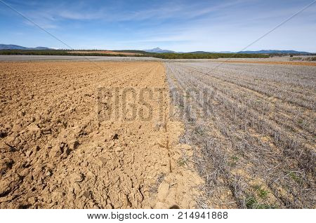 Ploughed and stubble fields in an agricultural landscape in Guadalajara Province Spain