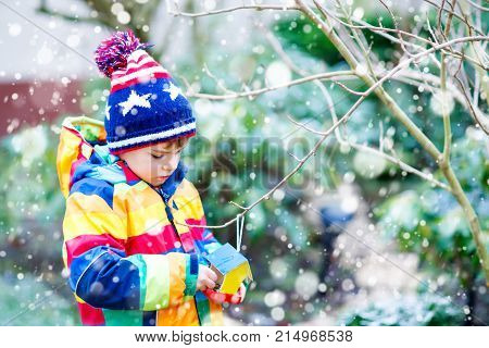 Little kid boy feeding birds in winter. Cute happy preschool child hanging colorful selfmade bird house on tree on frosty cold day. Toddler in colorful wam clothes putting seeds in feeder