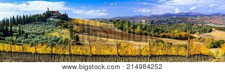 Traditional countryside and landscape of beautiful Tuscany. Castles and vineyards. Italy