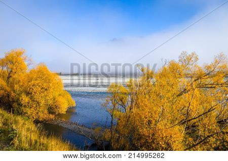Yellow Forest And River In New Zealand Mountains