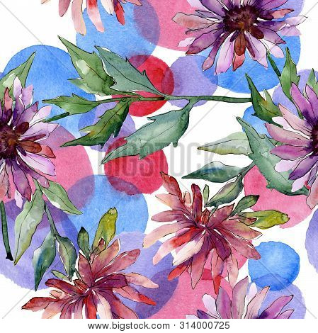 Aster Floral Botanical Flowers. Watercolor Background Illustration Set. Seamless Background Pattern.