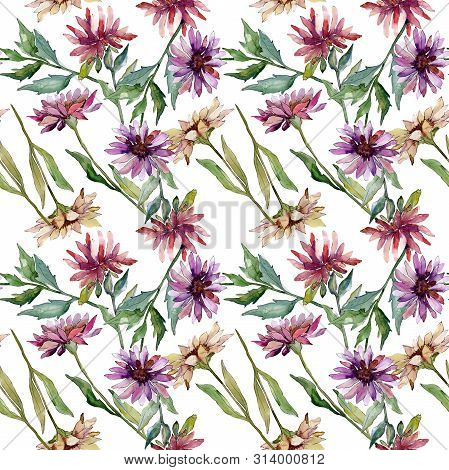 Aster Floral Botanical Flowers. Watercolor Background Illustration Set. Seamless Background Pattern.
