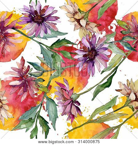 Aster Floral Botanical Flowers. Watercolor Background Illustration Set. Seamless Background Pattern.