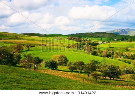 ในการพาสเจอร์